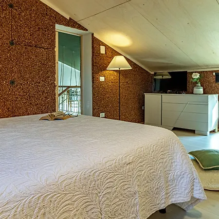 Lotus House-2
